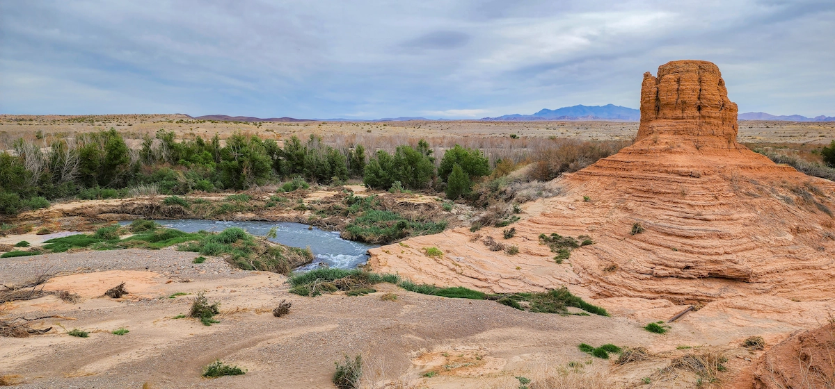 Owl Canyon stream surrounded by nature
